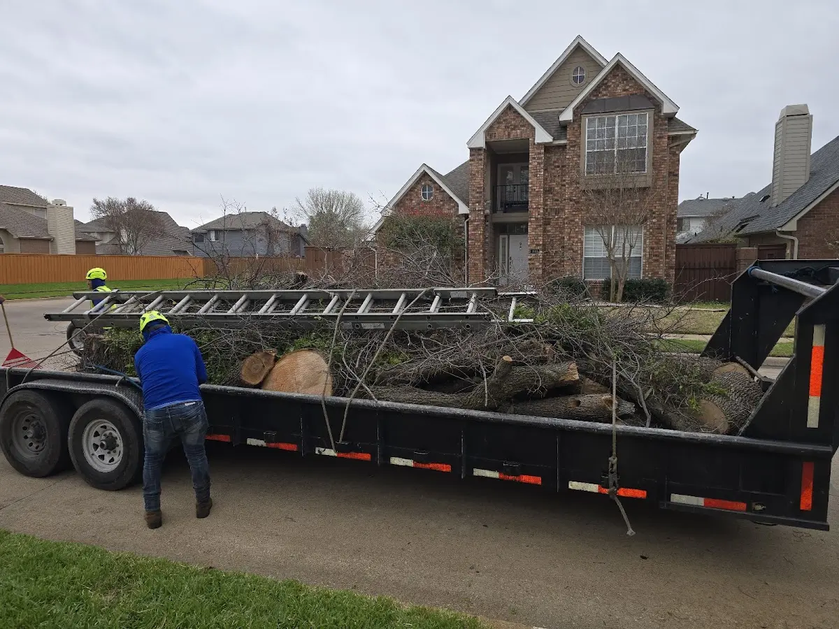 Expert Tree Fertilization with proper safety equipment in Burgin